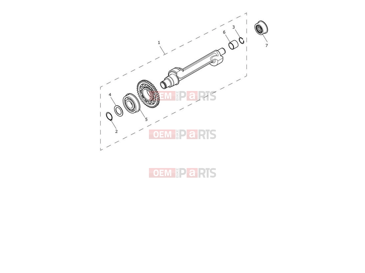 Triumph 2023 Trident 660 Balancer