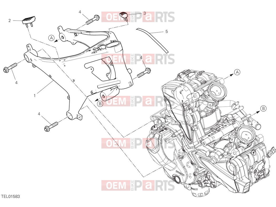 DUCATI 2025 Monster Plus Frame