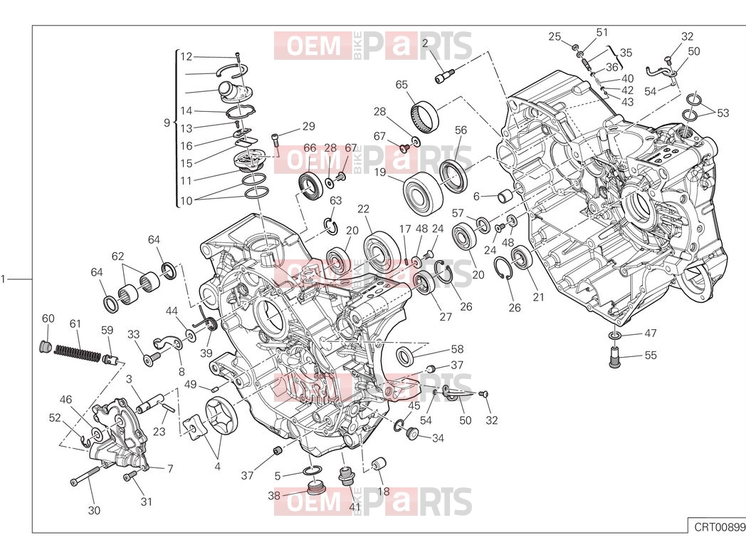DUCATI 2025 Monster Plus Crankcase