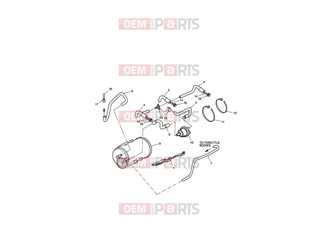 Triumph 2013 SPRINT GT Evaporative Loss Control System