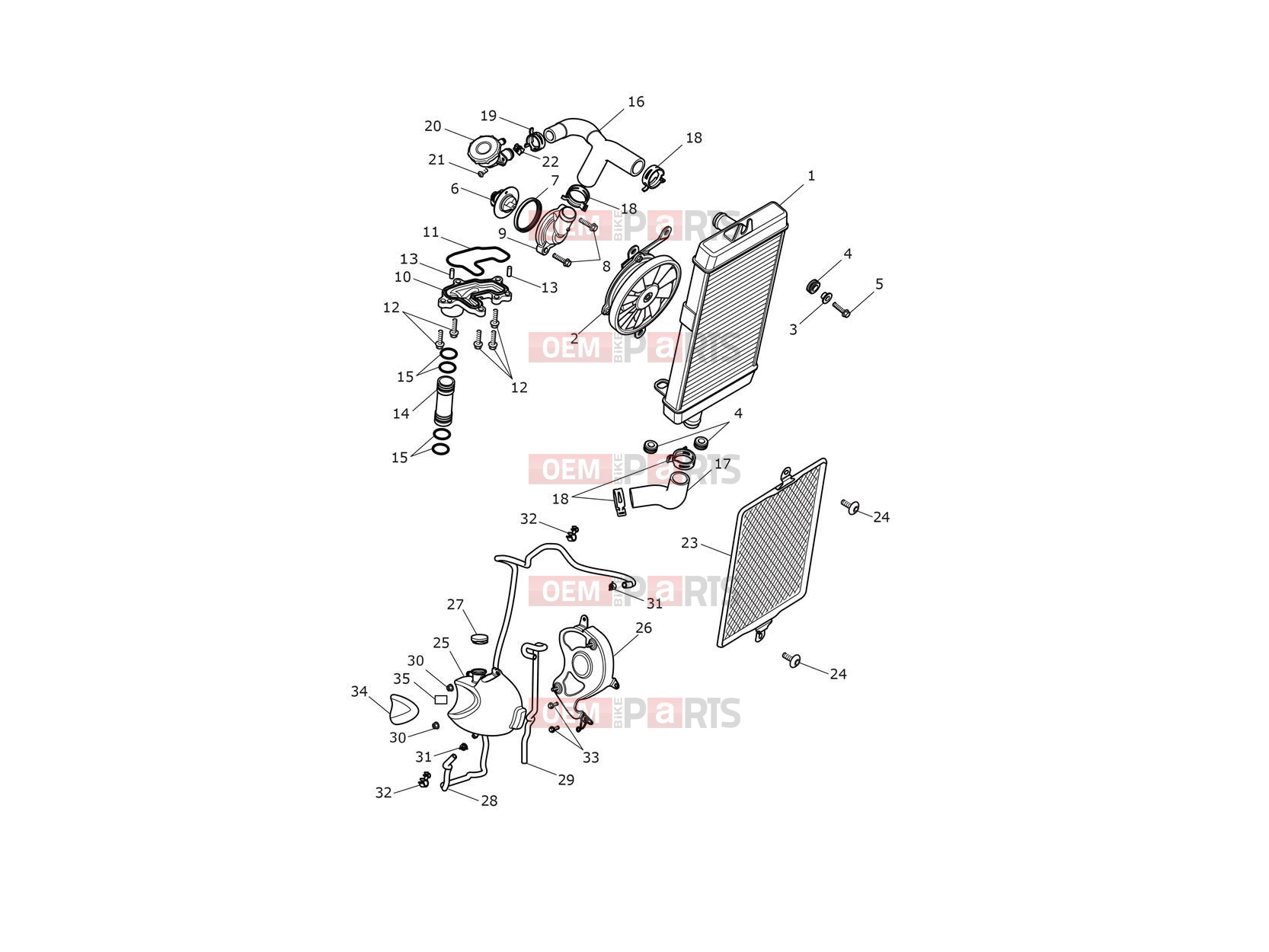 Triumph 2023 Thruxton RS Cooling System