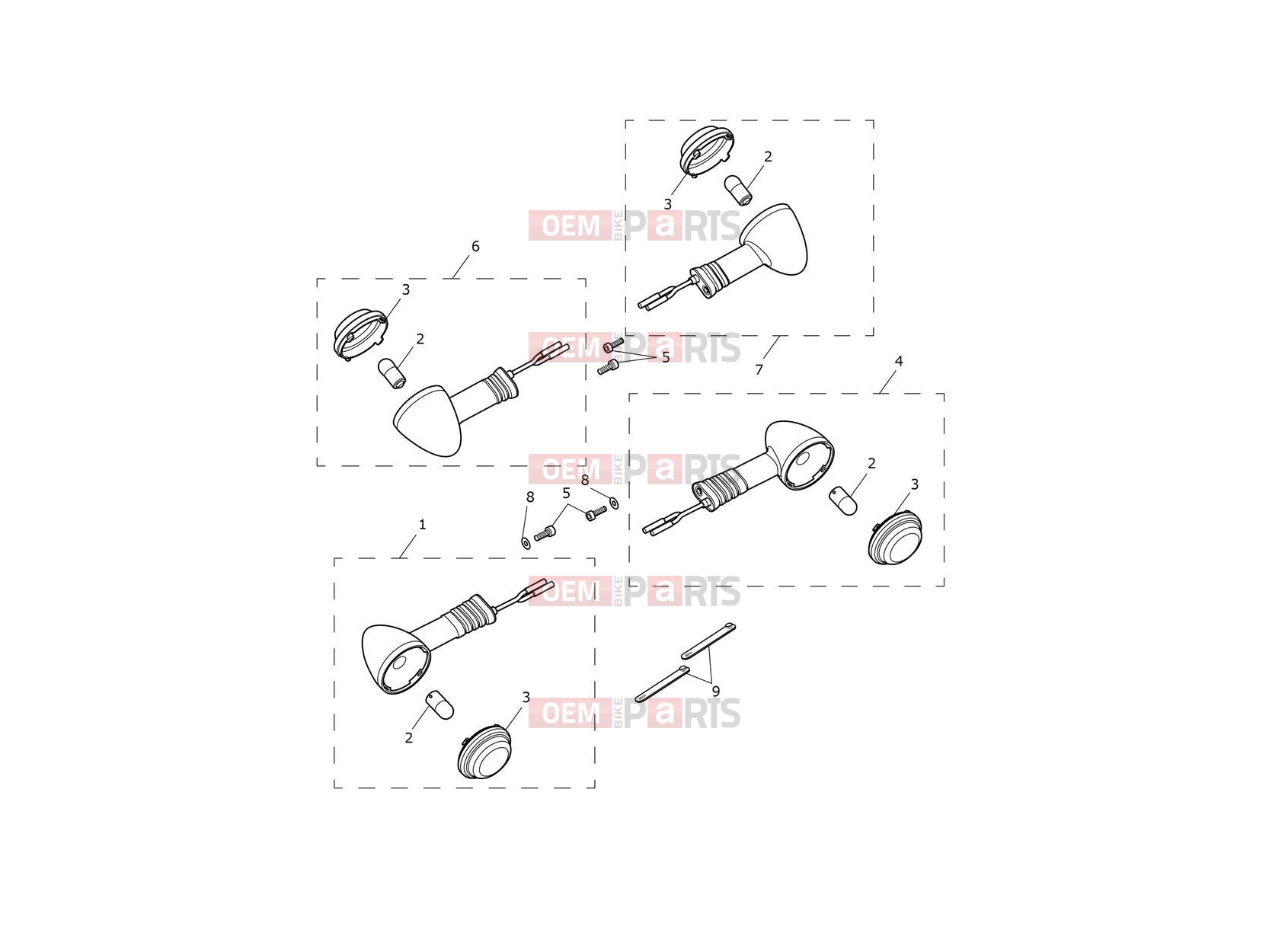 Triumph 2023 Thruxton RS Indicators