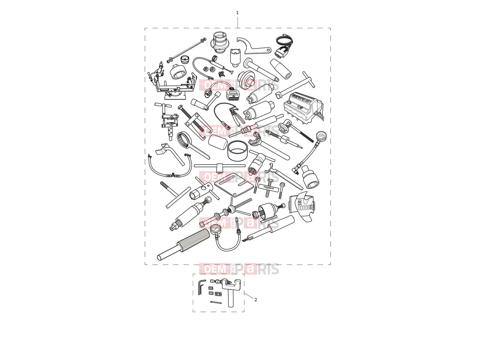 Triumph 2025 Speed 400 Service Tools