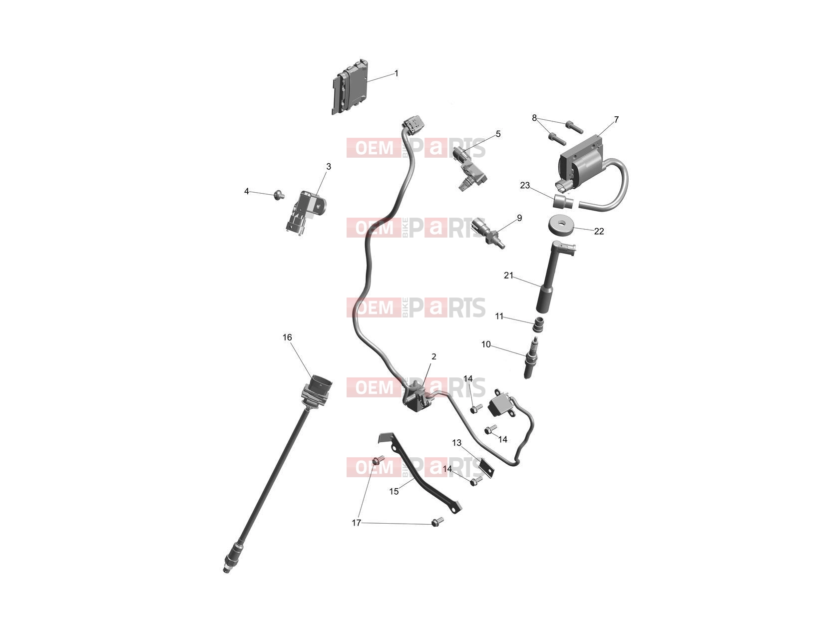 Triumph 2025 Speed 400 Engine Management