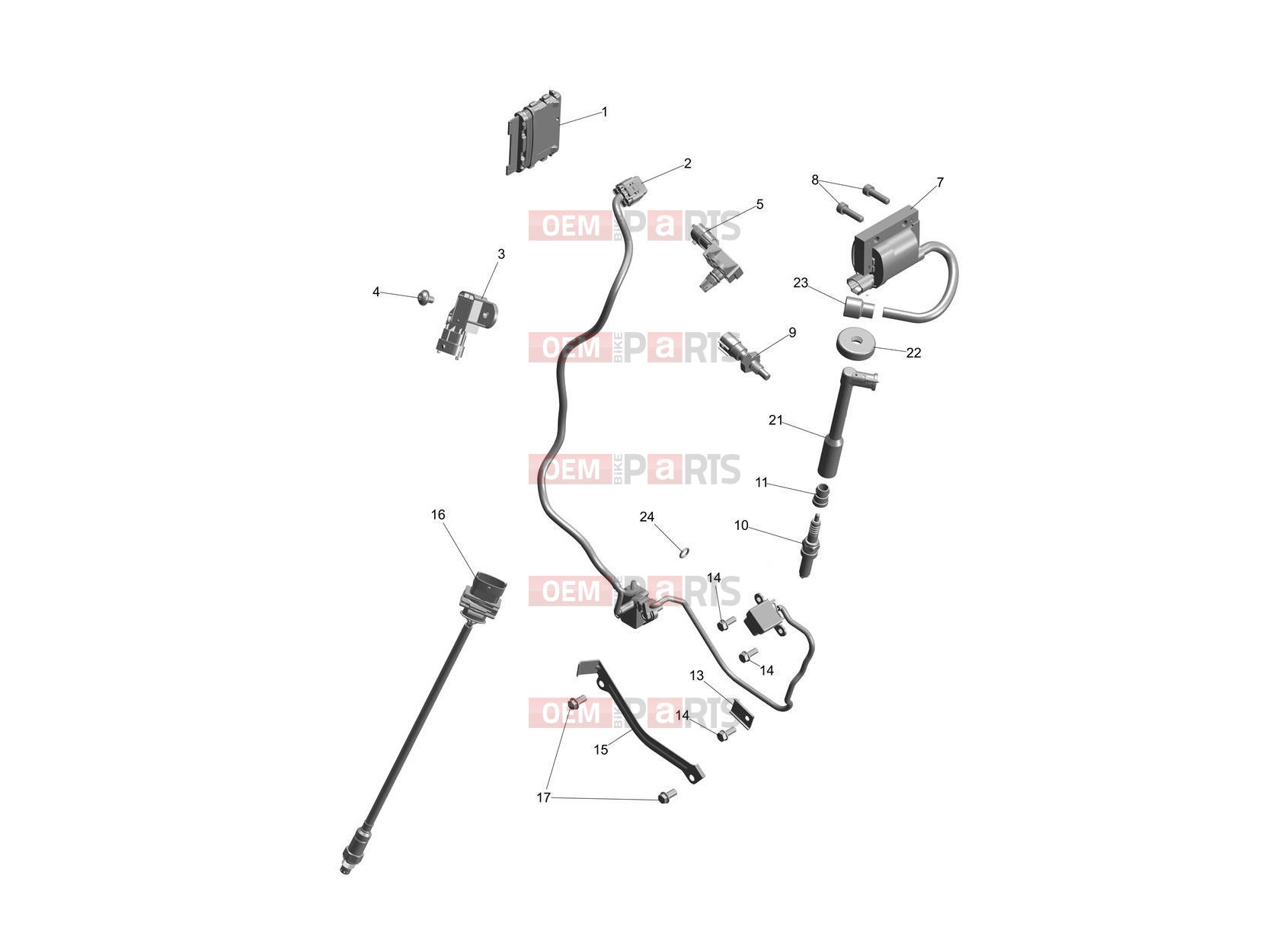 Triumph 2026 SCRAMBLER 400 XC Electrical System