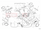 DUCATI Monster 795 THROTTLE BODY » INTAKE, CARBURETTOR