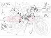 DUCATI Monster 796 - DMT WIRING HARNESS » WIRING HARNESS