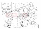 DUCATI Monster 659 THROTTLE BODY » INTAKE, CARBURETTOR