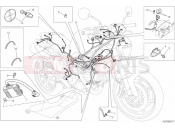 DUCATI Monster 796 ANNIVERSARY WIRING HARNESS » WIRING HARNESS