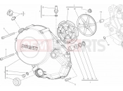 DUCATI Monster 796 ANNIVERSARY CLUTCH COVER » CLUTCH