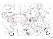 DUCATI Monster 796 ANNIVERSARY THROTTLE BODY » INTAKE, CARBURETTOR