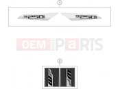 HUSQVARNA 2019 Offroad TE 250i (F2303S7) [EU] DECAL|Frame|08