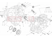 DUCATI Diavel WHITE STRIPE CRANKCASE BEARINGS » ENGINE CASE