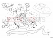 DUCATI 2011 Hypermotard 1100 EVO INTAKE MANIFOLD » INTAKE, CARBURETTOR