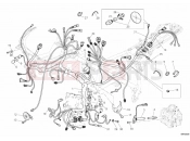DUCATI 2010 Superbike 1198 WIRING HARNESS » WIRING HARNESS