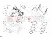 DUCATI 2010 Superbike 1198 THROTTLE BODY » INTAKE, CARBURETTOR