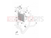 YAMAHA YQ50 NITRO (3C6Y) 2010 RADIATOR & HOSE