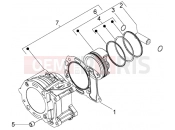 PIAGGIO Cylinder-piston-wrist pin, assy