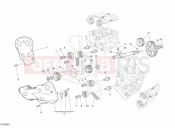 DUCATI Superbike 1098 S Tricolore TIMING BELT » UNCLASSIFIED