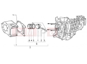 PIAGGIO Cylinder-piston-wrist pin, assy
