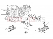 DERBI GP1 250 Oil pump