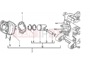 gilera DNA 50 Cylinder-piston-wrist pin, assy