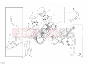 DUCATI 2008 Monster S4RS THROTTLE BODY » INTAKE, CARBURETTOR