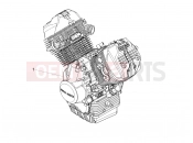 MOTOGUZZI V7 III Rough 750 ABS (USA) motor - első lánckerék