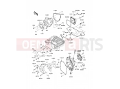 KAWASAKI 2008 Engine Cover(s)