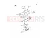KAWASAKI 2009 Cylinder/Piston(s)