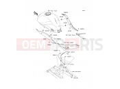 KAWASAKI 2009 Side Covers/Chain Cover
