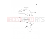 KAWASAKI 2009 Decals(M.S.Black)