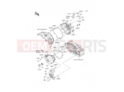 KAWASAKI 2009 Engine Cover(s)