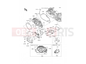 KAWASAKI 2009 Left Engine Cover(s)