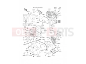 KAWASAKI 2009 Engine Cover(s)