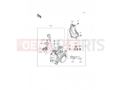 KAWASAKI 2017 Throttle
