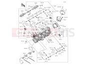 KAWASAKI 2017 Throttle