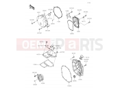 KAWASAKI 2018 Engine Cover(s)