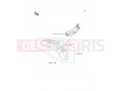 KAWASAKI 2010 Front Fender(s)