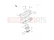 KAWASAKI 2010 Cylinder/Piston(s)