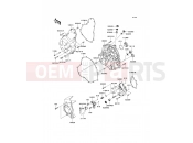 KAWASAKI 2010 Engine Cover(s)