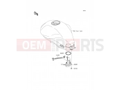 KAWASAKI 2010 Fuel Pump