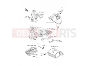 KAWASAKI 2010 Fuel Injection