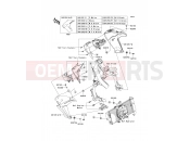 KAWASAKI 2010 Shroud