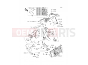 KAWASAKI 2010 Shroud