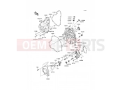 KAWASAKI 2010 Engine Cover(s)