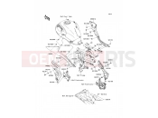 KAWASAKI 2010 Side Covers/Chain Cover