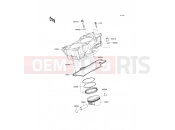 KAWASAKI 2010 Cylinder/Piston(s)