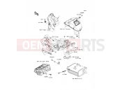 KAWASAKI 2010 Fuel Injection