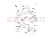 KAWASAKI 2010 Fuel Injection